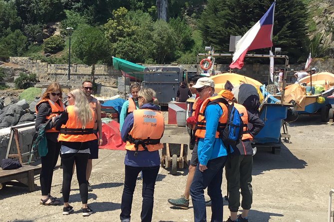 Fr VALPO: WILD PENGUINS, SEALION, SANDBOARD, PARAGLIDING & PICNIC - The northern coast and the boat to the penguins