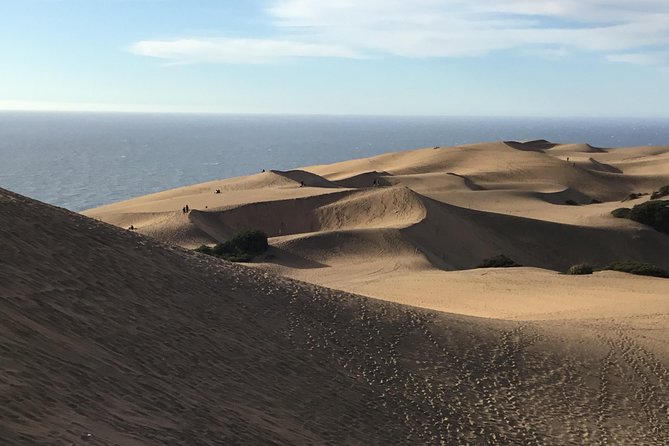 Fr VALPO: WILD PENGUINS, SEALION, SANDBOARD, PARAGLIDING & PICNIC - Sandboarding the Concón dunes