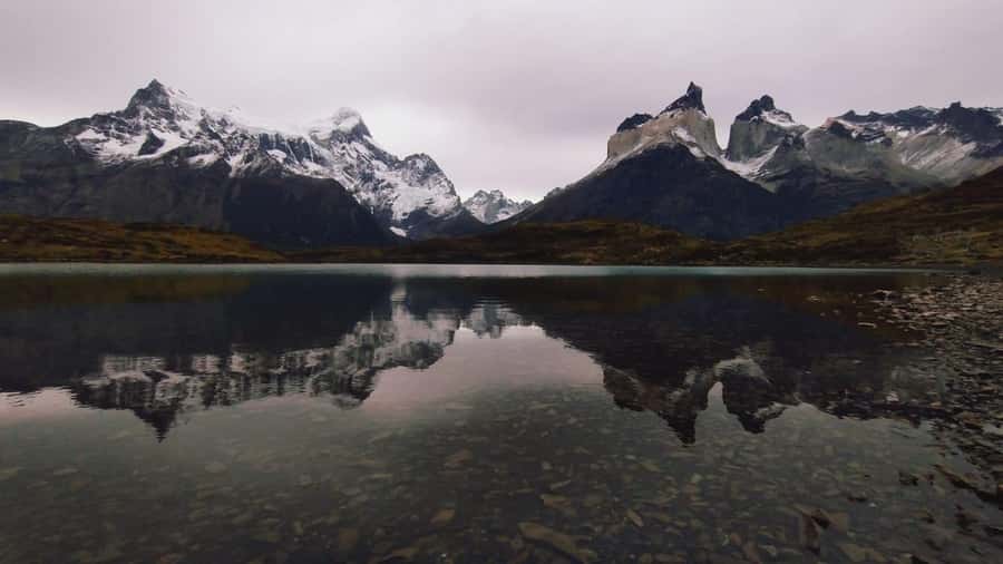 From El Calafate: Torres del Paine Full Day Tour - Saltos del Río Paine and Laguna Amarga