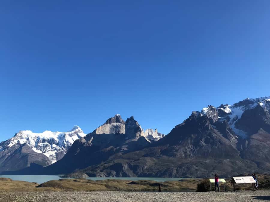 From El Calafate: Torres del Paine Full Day Tour - The 1.5-hour walk to Mirador de Los Cuernos