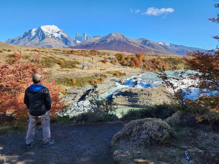 From El Calafate: Torres del Paine Full Day Tour - Lunch, guides, and group comfort