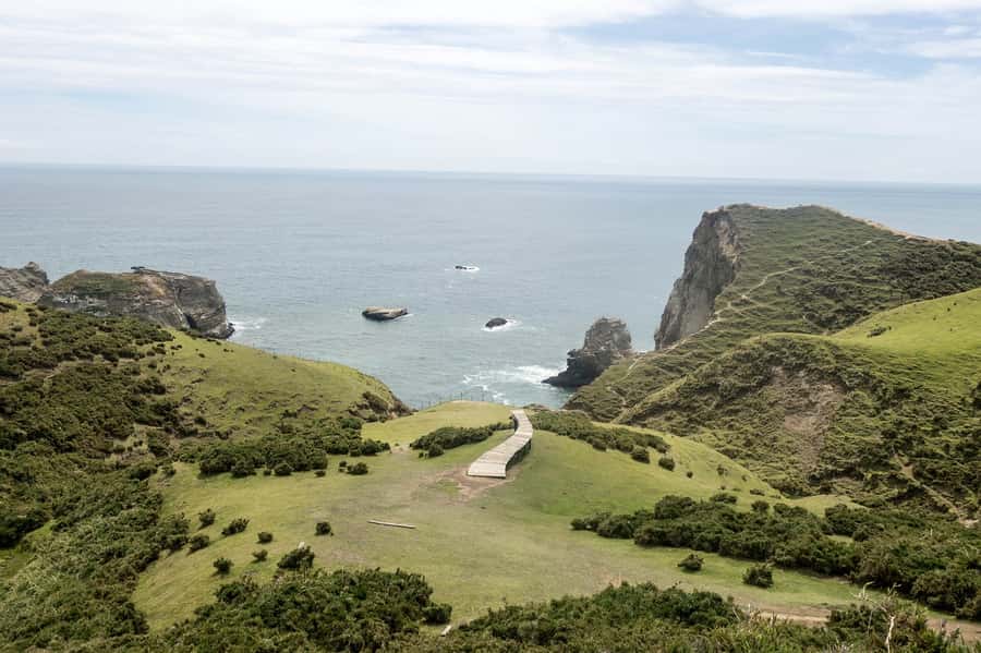 From Puerto Varas: Chiloe Island Full-day Tour - What the $72 price really covers
