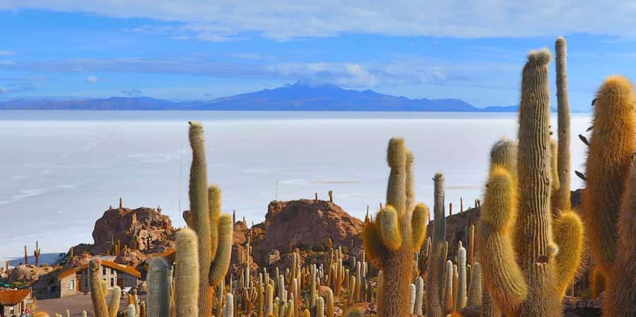 From San Pedro de Atacama: 3 days to Uyuni Salt Flat - From San Pedro to the Bolivian high plateau