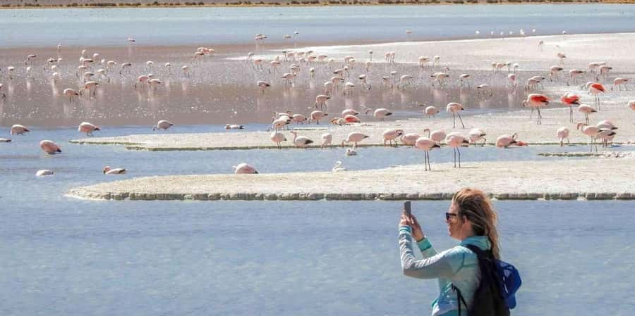From San Pedro de Atacama: 3 days to Uyuni Salt Flat - Who should book this Uyuni crossing