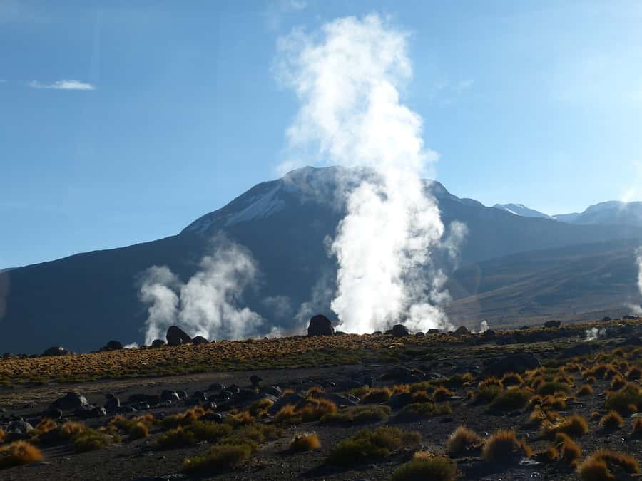 From San Pedro de Atacama: Geysers del Tatio Half-Day Tour - The return through Putana River country