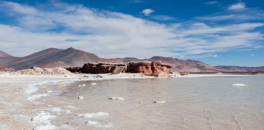 From San Pedro de Atacama: Lagoons and Piedras Reds - The guide can shape the whole day
