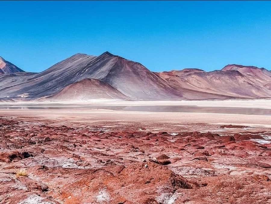 From San Pedro de Atacama: Lagoons and Piedras Reds - A long day with several very different faces