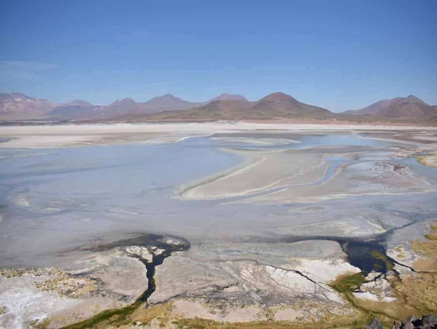 From San Pedro de Atacama: Lagoons and Piedras Reds - Lunch with the Altiplano as a backdrop