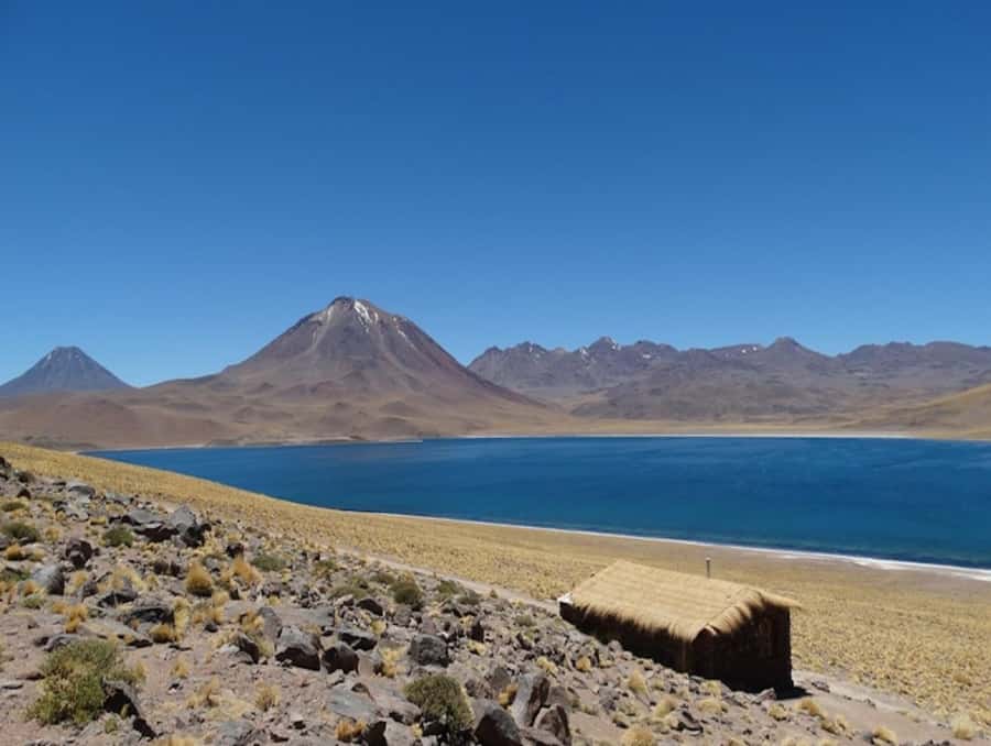 From San Pedro de Atacama: Lagoons and Piedras Reds - Talar Salt Flat and the Red Stones