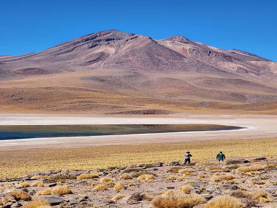 From San Pedro de Atacama: Lagoons and Piedras Reds - Morning light across the Atacama Desert