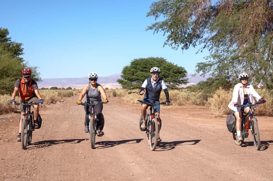 From San Pedro de Atacama: Laguna Cejar E-biking Adventure - Key points to know before booking