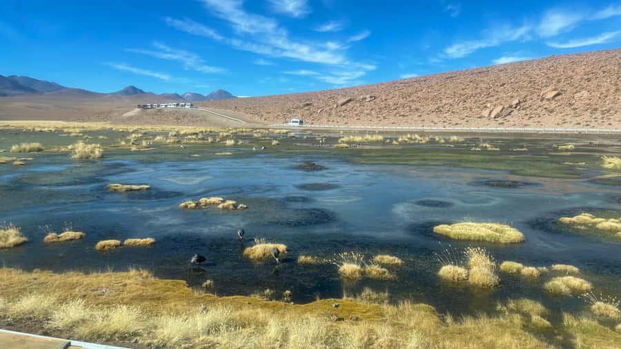 From San Pedro de Atacama: Tatio Geysers and Machuca Tour - Machuca wetlands and a small village