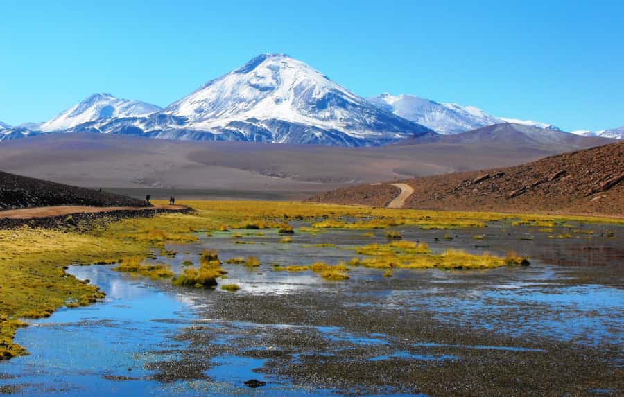 From San Pedro de Atacama: Tatio Geysers and Machuca Tour - Who should book this tour?