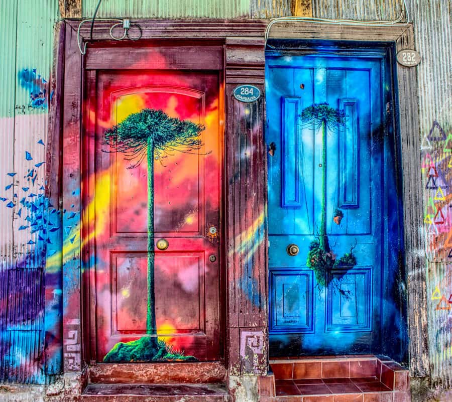 From Santiago: Highlights of Valparaiso and Viña del Mar - The van, language balance, and guide quality