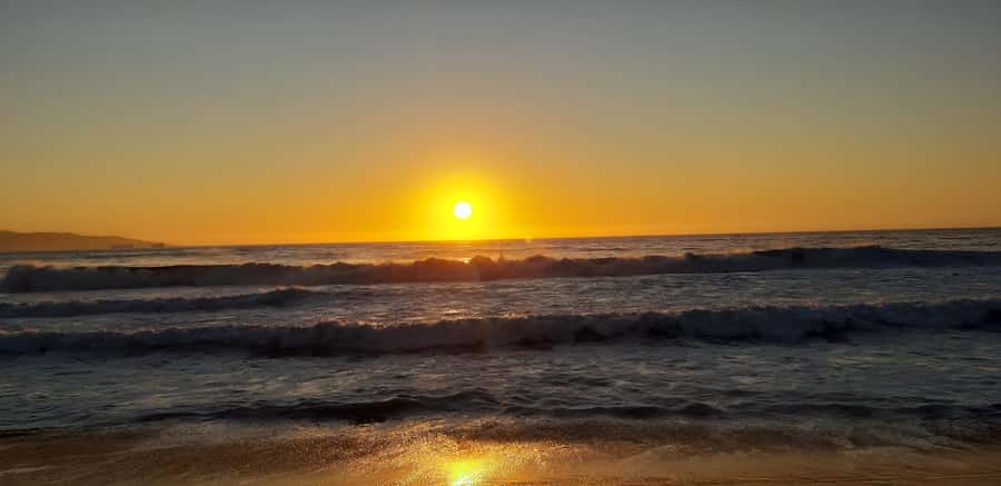 From Santiago: Isla Negra, Pablo Neruda Museum & Winery Tour - Who Should Book This Tour