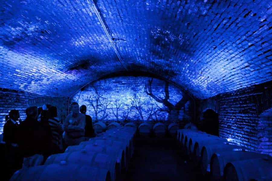 From Santiago: Maipo Valley Wine Tour - Key points at a glance