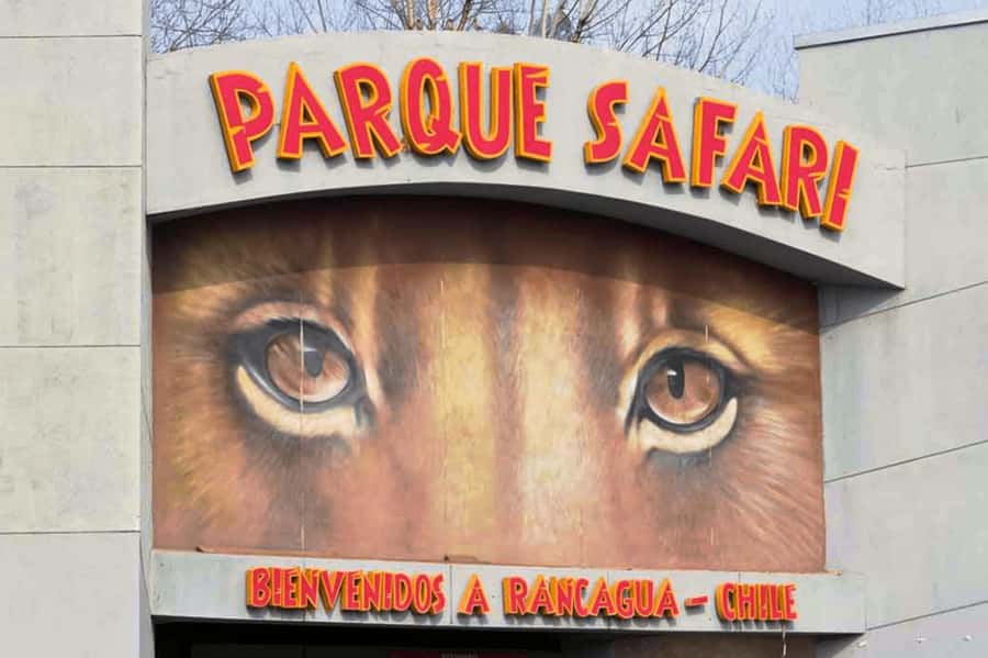 From Santiago: Safari Park, a wild experience - What the vehicle ride is really like