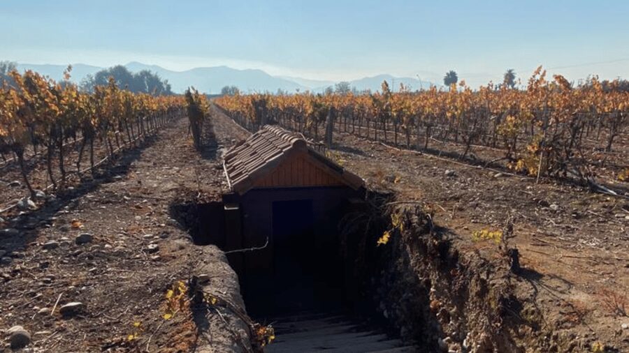 From Santiago: Undurraga Winery Tour with Tasting - Should you book Undurraga Winery?