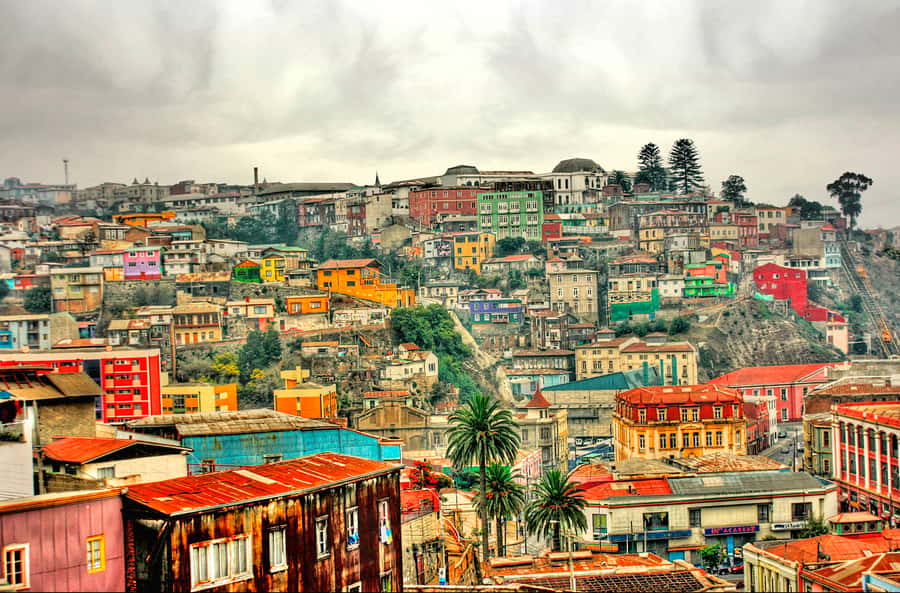 From Santiago: Valparaiso and Viña del Mar Day Tour - Key points at a glance