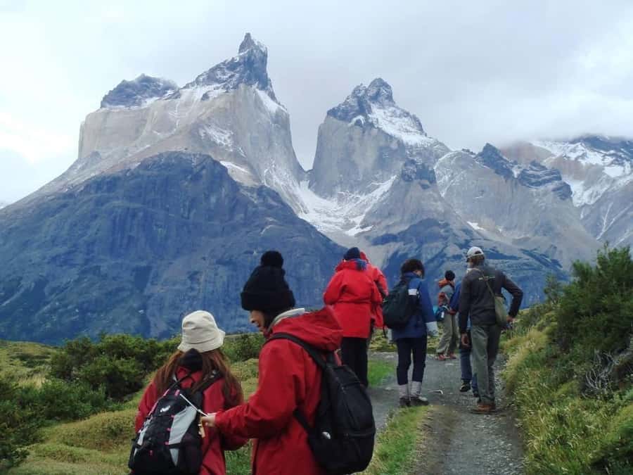 Full-day excursion to Torres del Paine National Park - What $263 buys you