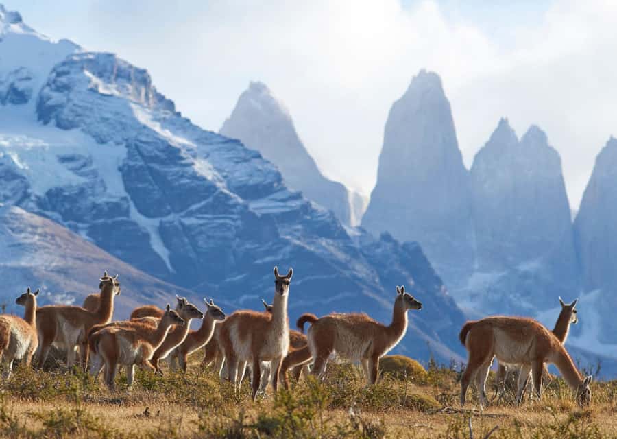 Full-Day Torres del Paine National Park from El Calafate - The early ride from El Calafate to Chile