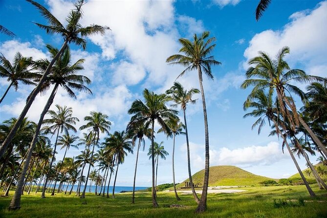 Full day tour - DREAM - Akahanga shows a former village by the sea