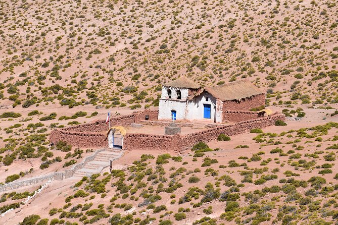 Full Day Tour to Geyser del Tatio, Vado Putana and Machuca - Vado Putana adds wildlife and open Andean views