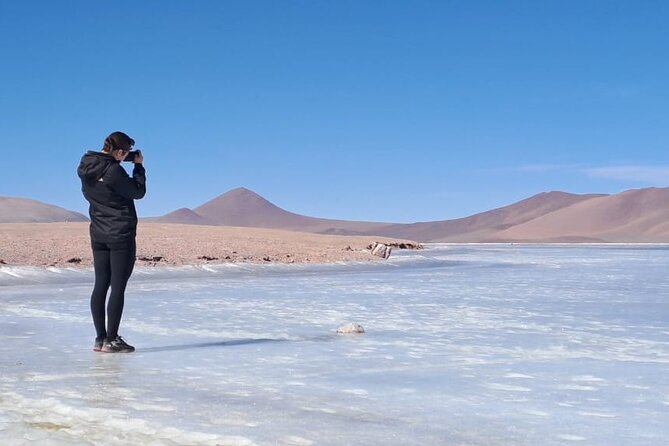 Full Day Tour to Ruta de los Salares - A high-Andes route beyond San Pedro