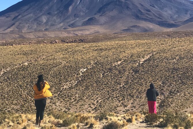 Full Day Tour to Ruta de los Salares - Salar de Aguas Calientes and the final salt-flat stop