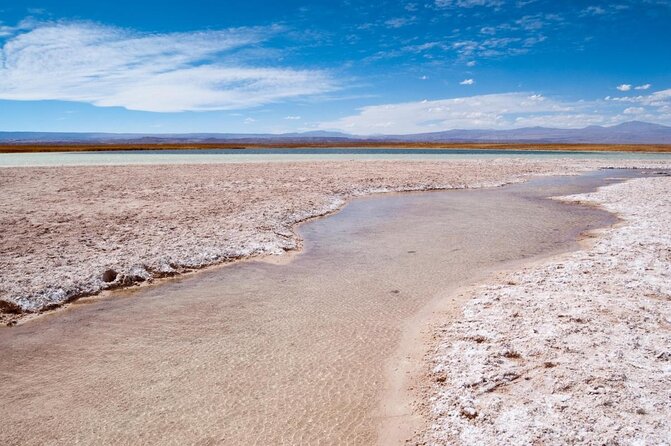 Half-Day Tour to Laguna Cejar - Key things to know before you book