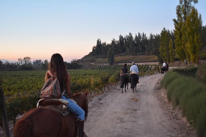 Horseback Private Wine Tour and Country Grill from Santiago - Breakfast with a local touch