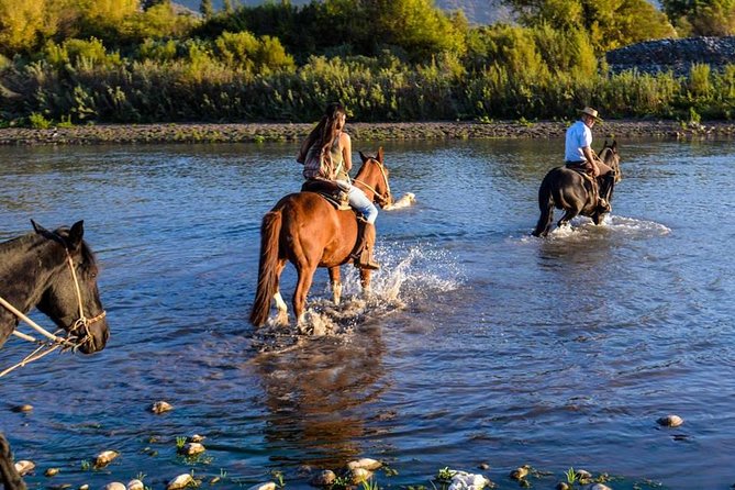 Horseback Private Wine Tour and Country Grill from Santiago - Meeting your horse and learning the basics
