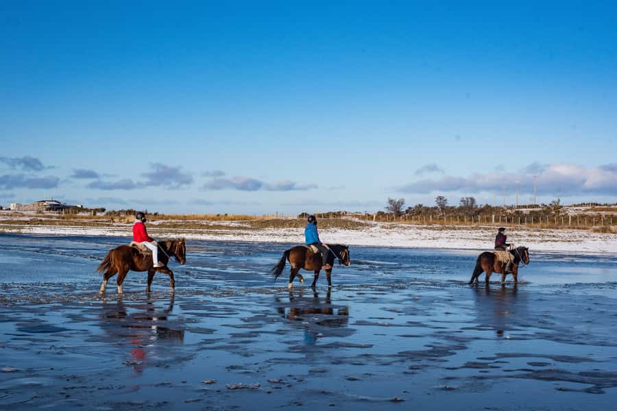 Horseback Riding near Strait of Magellan - Following the Strait through wetland and forest