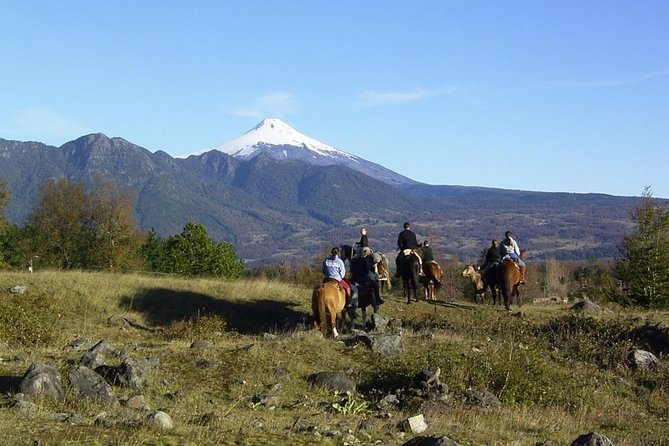 Horseback Trailride Excursion - Key points for choosing the ride