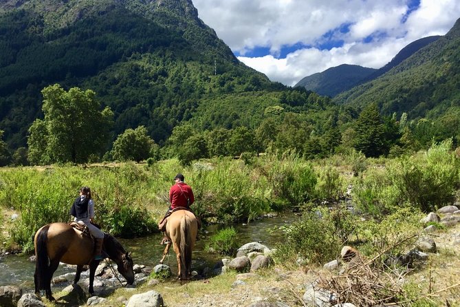 Horseback Trailride Excursion - Leaving Pucón for Antilco ranch