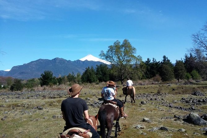 Horseback Trailride Excursion - What the four-hour price includes in value