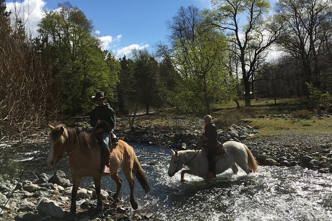 Horseback Trailride Excursion - Getting acquainted with your horse