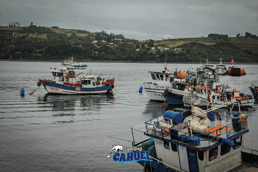 Inner Coast of Chiloé: Road and Sea. - What is included for $106