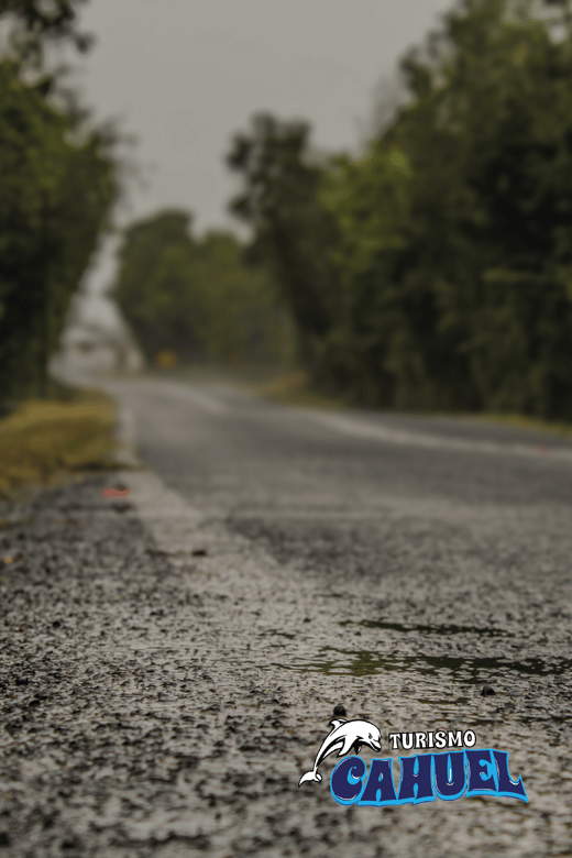 Inner Coast of Chiloé: Road and Sea. - Guide quality and language support