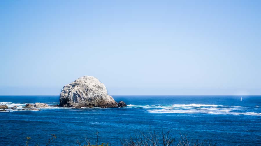 ISLA NEGRA AND ALGARROBO WITH VINICOLA UNDURRAGA - TOUR : CHILE - The guide and language question