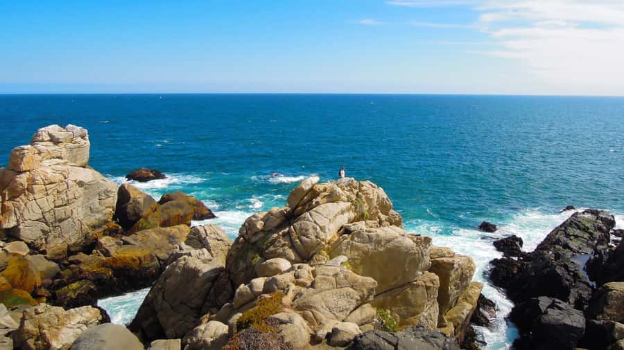 ISLA NEGRA AND ALGARROBO WITH VINICOLA UNDURRAGA - TOUR : CHILE - The ride from Santiago to the coast