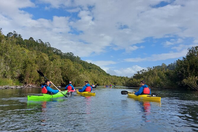 Kayak through the Sunken Forest of the Maullín River - Key points to know before you go