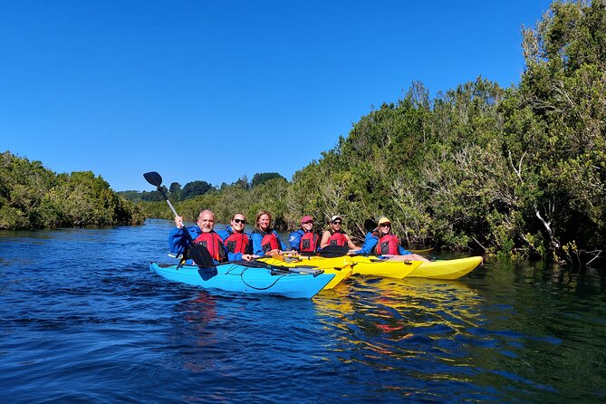 Kayak through the Sunken Forest of the Maullín River - Weather, rain, and the feel of the day