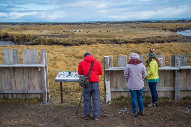 King Penguin Nature Reserve - Tierra del Fuego Island - Crossing the Magellan Strait by ferry
