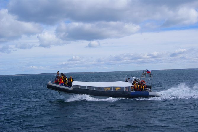 Magdalena Island Penguin Tour by Boat from Punta Arenas - The Lighthouse and Interpretation Center