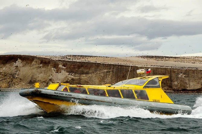 Magdalena Island Penguin Tour by Boat from Punta Arenas - The Catamaran Crossing and Its Limits