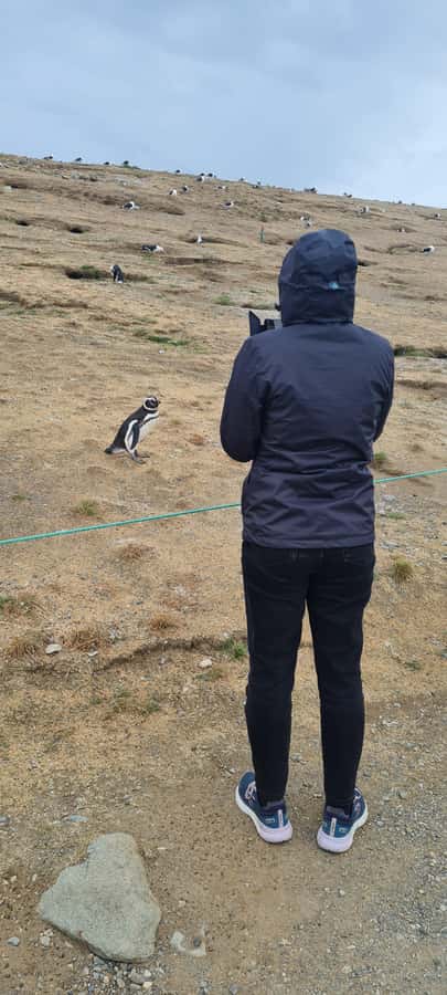 Magdalena Island: Walk with the penguins - Practical ways to prepare