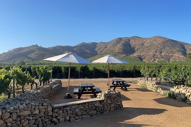 Moment Tour Tasting Icon - Walking the Vines With Inés Patrón