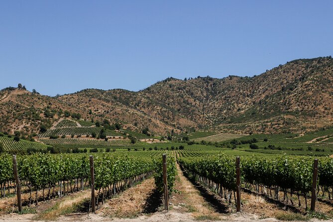 Moment Tour Tasting Icon - Why the Family Chapel Matters