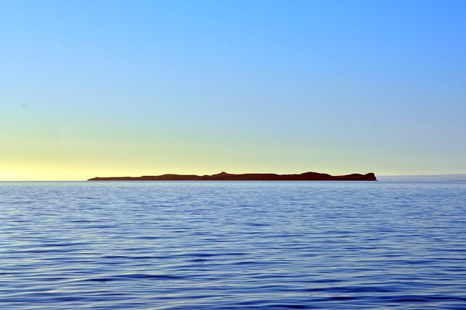 Navigation Magdalena Island and Marta - Isla Marta: sea lions from the water